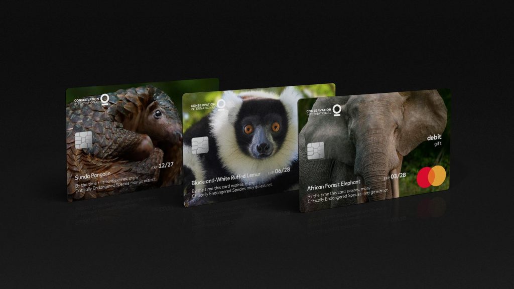 絶滅危惧動物たちの“残された時間”に意識を向けるMastercardのギフト商品 | PR EDGE