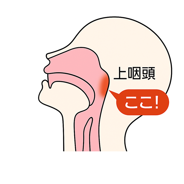 「サイナス・リンス」