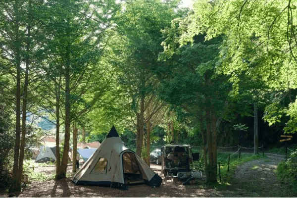 アウトドアサウナ施設「SAUNA“悟り”〜SATORI〜」