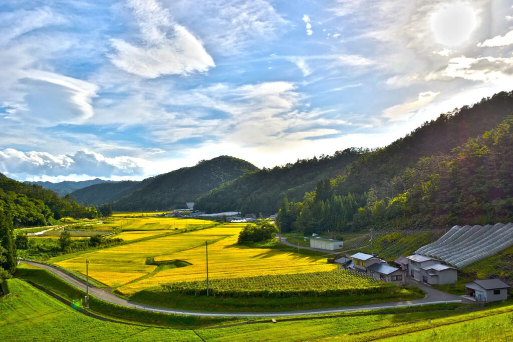 日本航空株式会社（JAL）と東日本旅客鉄道株式会社（JR東日本）二地域居住の体験プログラム「東日本、二地域暮らし」