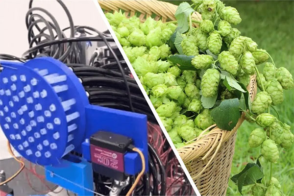 『“クラフト”香りの空気砲』 （キリンビール株式会社×TOPPAN）