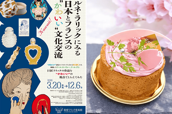 春限定スイーツ「桜シフォン」