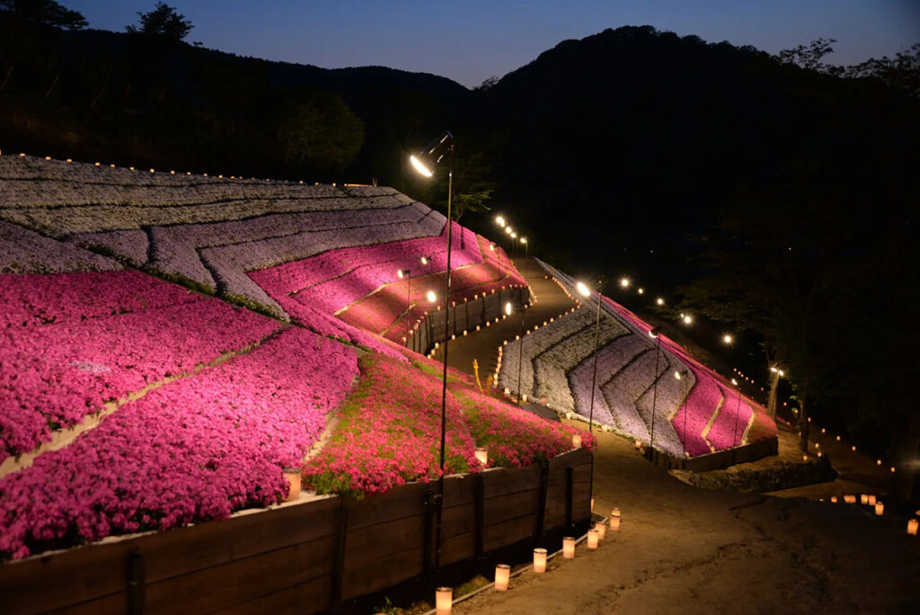 兵庫県姫路市のヤマサ蒲鉾株式会社　芝桜の小道