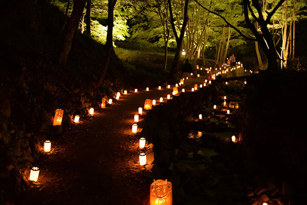 芝桜の小道に約3,000本のロウソク