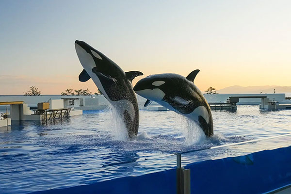 神戸須磨シーワールド