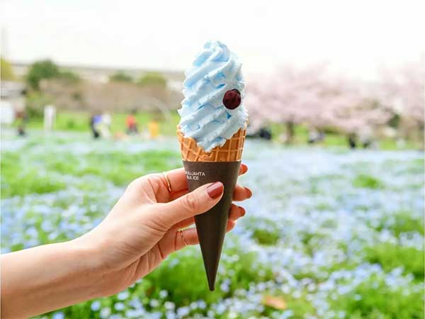 都立舎人公園　ソフトクリーム