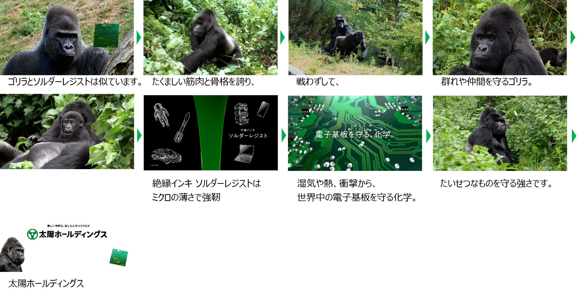 太陽ホールディングスCM