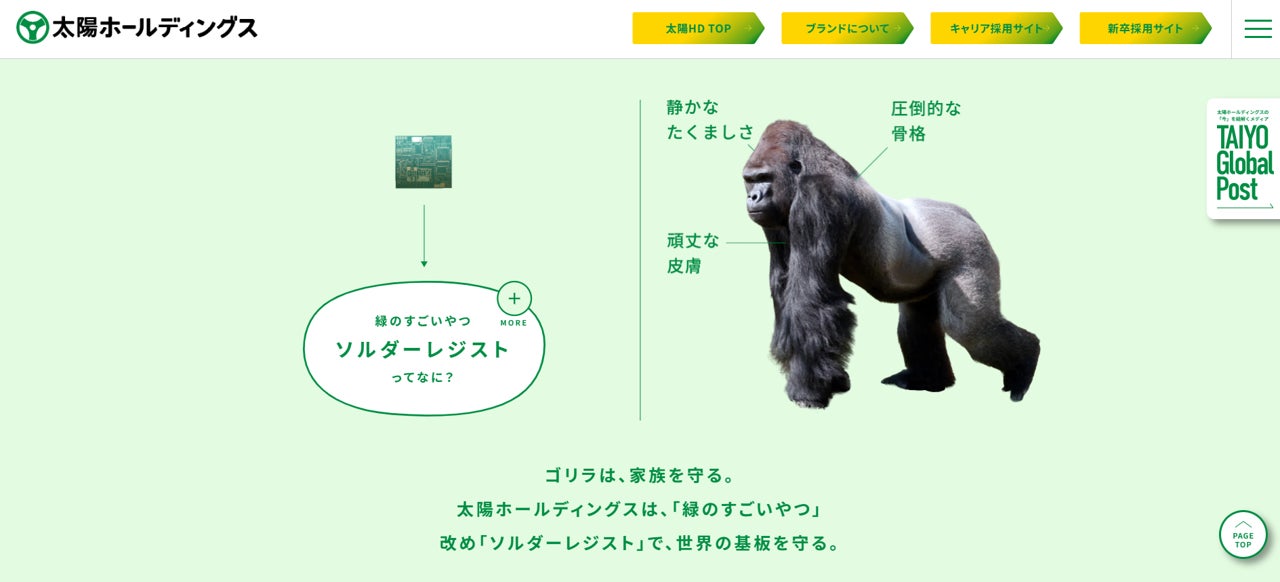 太陽ホールディングスCM