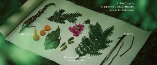 カクテルに用いる日本原生の植物